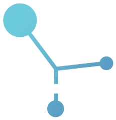 Sunshine Coast Tech Industry Alliance